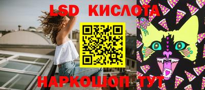молекула духа Камышлов