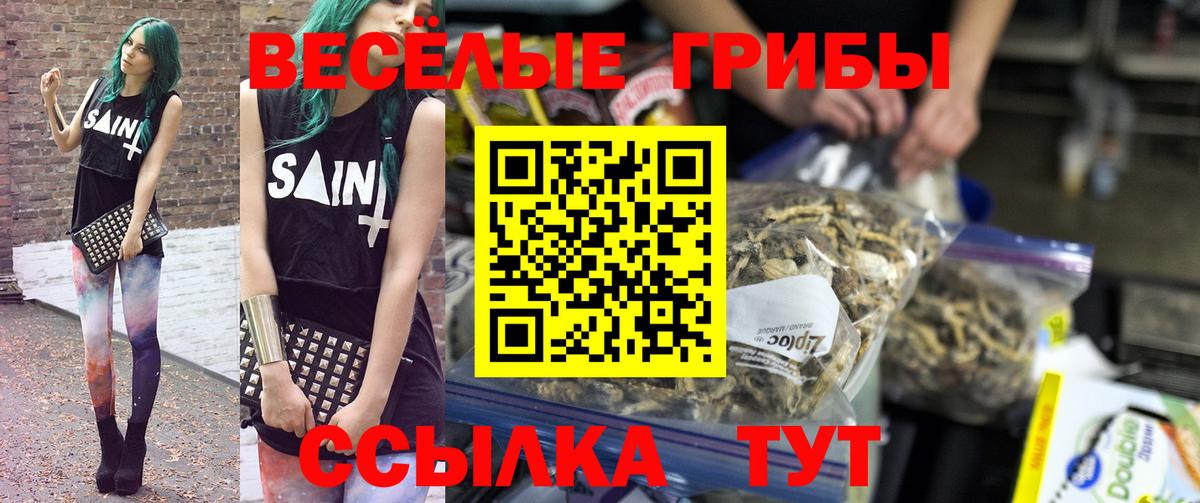 где купить наркоту  Псилоцибиновые грибы мицелий  Вход с VPN  Дятьково 