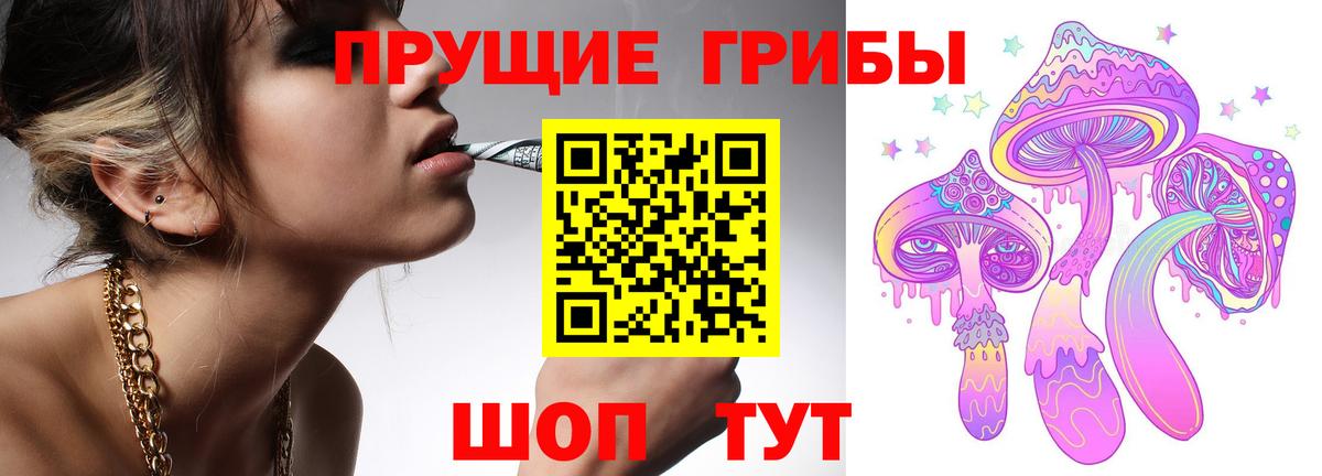 Псилоцибиновые грибы прущие грибы Дятьково